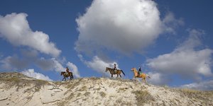 4. Adventure Abound - choose from horse riding to quad biking to hiking and more